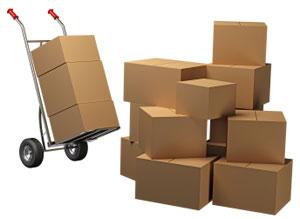 parcel delivery services