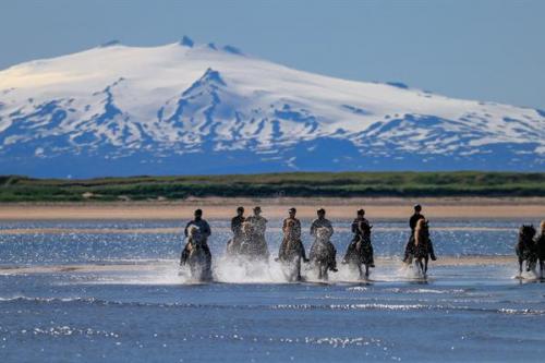 Escorted Tours Iceland