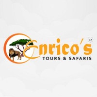 Enricos Safaris