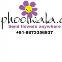 Phoolwala Florist