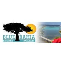Blue Bahia