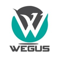 Wegus Infotech