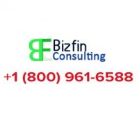Bizfin Consulting