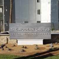 The Modern Cactus