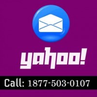 Yahoo Customer Number 1877-503-0107