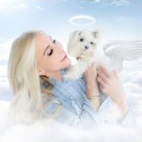 Pet Grieving Recovery