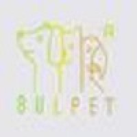 Bulpet LLC