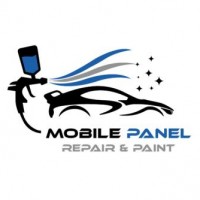 Reviewed by Mobile Panel Repair Paint