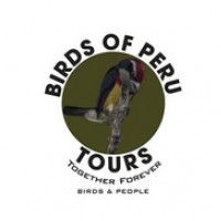 Birds of Peru Tours