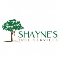 Shaynes Tree