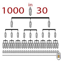 1000 Fans in 30 Days