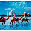 Discover Opportunities In India