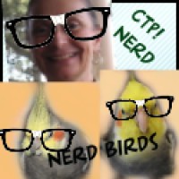 nerdbirds