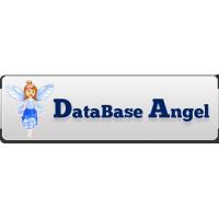 Databaseangel