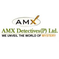 AMX Detectives