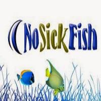 No Sick Fish