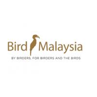 Bird Malaysia