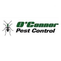Pest Control Visalia