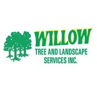 Willow Tree Service