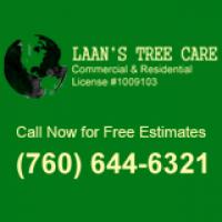 Laans Tree Care
