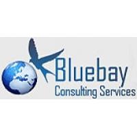 BlueBay Consulting