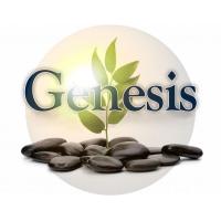 Genesis Ibogaine Center