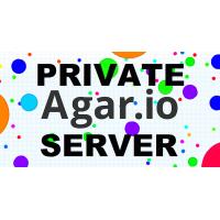 Play The Best Agario Server!
