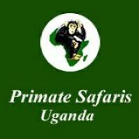 Primate Safaris