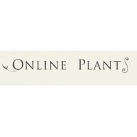 Online Plants Melbourne