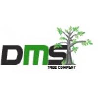 DMS Tree Removal