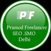 Pramod SEO Freelancer