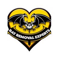 Bat Removal Experts