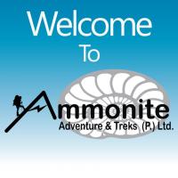 Ammonite Adventures