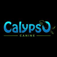 Calypso Canine