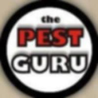 The Pest Guru