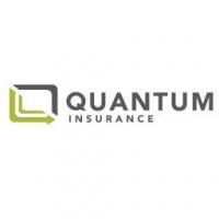 Quantum Insurance