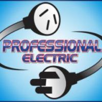 The Professional Electrician