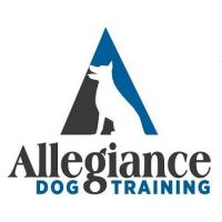 Allegiance Dog Training