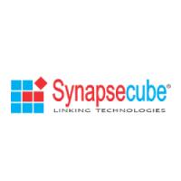 Synapse Cube