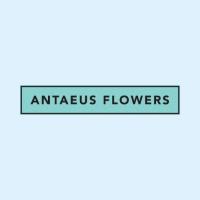 Antaeus Flowers
