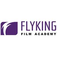 Flyking Film Academy