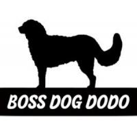 Boss Dog Dodo