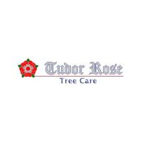 Tudor Rose Tree Care