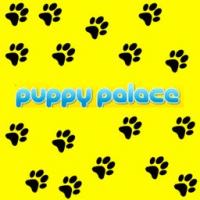 Puppy Palace Pet Shop