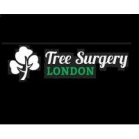 Tree Surgery London