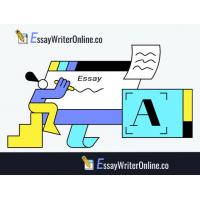 Essay Writer Online