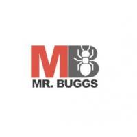 Mr Buggs