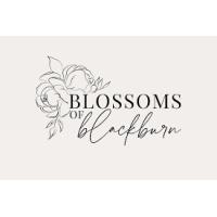 Blossoms Of Blackburn