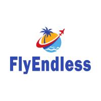 FlyEndless