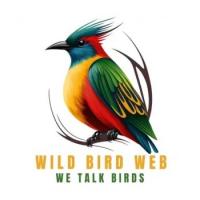 Wild Bird Web